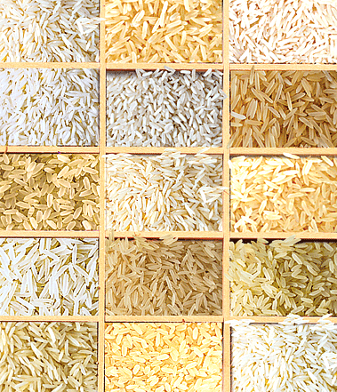 tipuri de orez